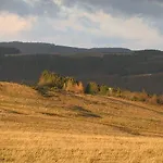 Dürbaum * Schleiden
