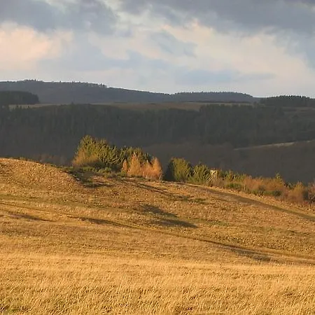 Duerbaum * Schleiden