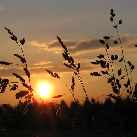 شقة Duerbaum شليدن