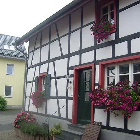 Dürbaum