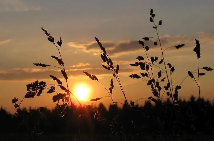 شقة Duerbaum شليدن